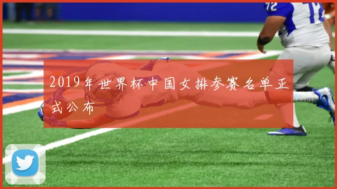 2019年世界杯中国女排参赛名单正式公布