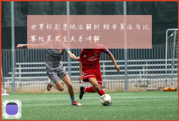 世界杯彩票玩法解析 赔率算法与比赛结果奖金关系详解